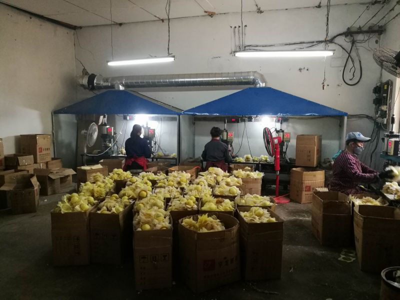草莓视频色板下载 (1)